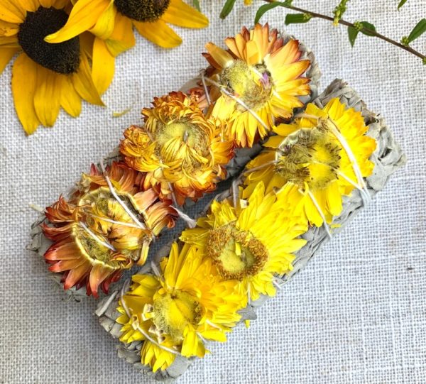 Product Image and Link for Sunflower Sage bundle