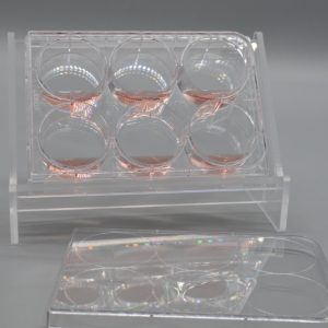 Product Image and Link for Tissue Culture Plate Angled Holder inclined and Ergonomic