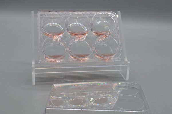 Product Image and Link for Tissue Culture Plate Angled Holder inclined and Ergonomic