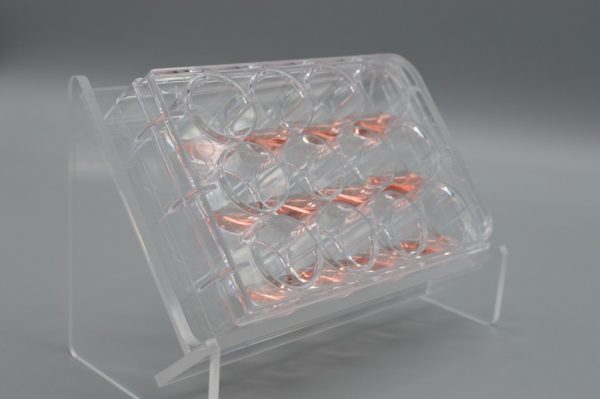 Product Image and Link for Tissue Culture Plate Angled Holder inclined and Ergonomic