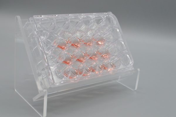 Product Image and Link for Tissue Culture Plate Angled Holder inclined and Ergonomic