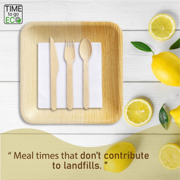 Product Image and Link for TIME TO GO ECO 100% Compostable Palm Leaf Dinnerware Set For 50 Guests