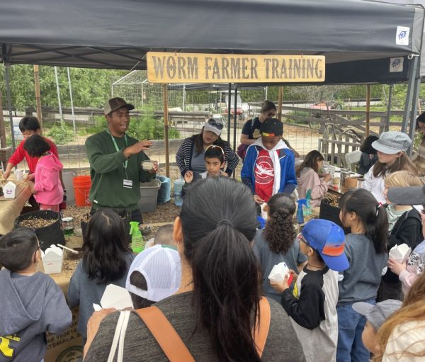 Product Image and Link for Worm Farmer Workshops